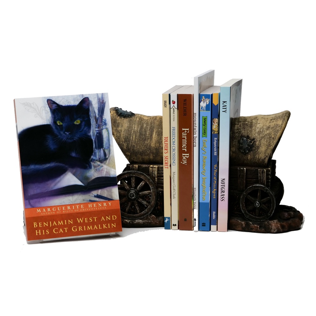 Our Star-Spangled Story Literature Package (Clearance)